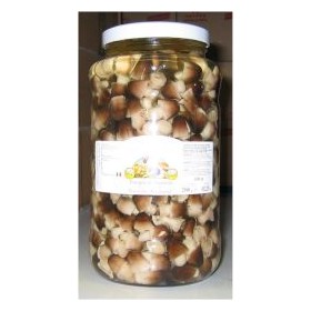 FUNGHI DI MUSCHIO IN OLIO VEGET.KG.3,1